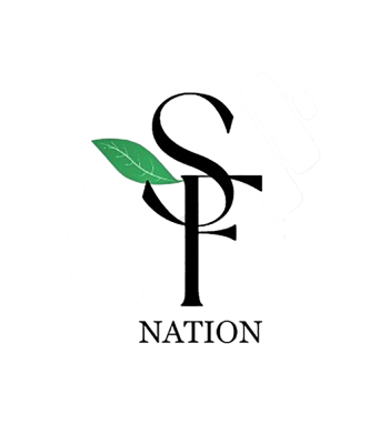 Sandyfitnation Logo